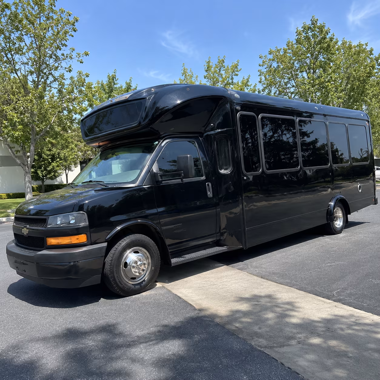 dover 15 passenger party bus